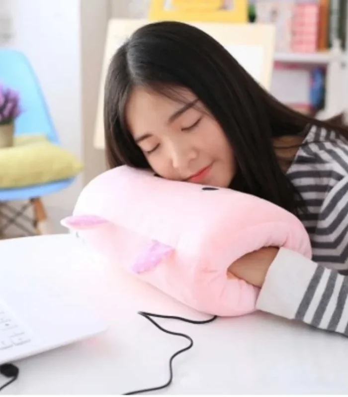 Cushion Pillow Nap Weak Hero Level 1 Arm Pillow Non-electric Sleeping Pillows Hand Warmer Cute Gift for Children Suho Travel